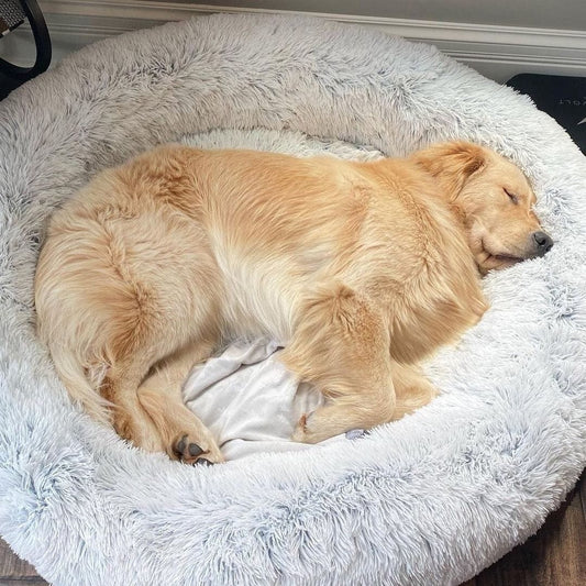 Round Plush Calming Pet Bed for Anxiety Relief