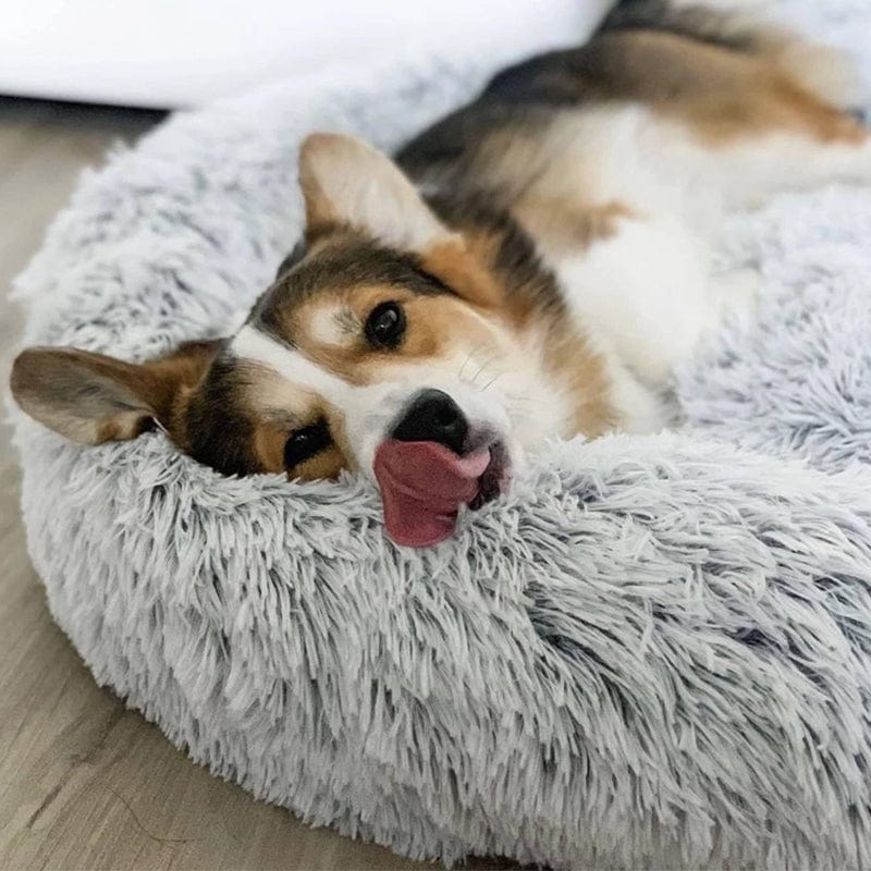 Round Plush Calming Pet Bed for Anxiety Relief