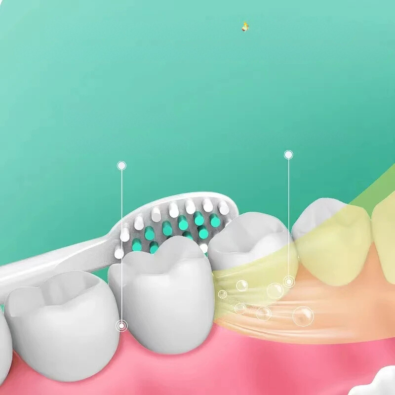 Sonic Toothbrush with Long-lasting Brush Heads and Waterproof Design