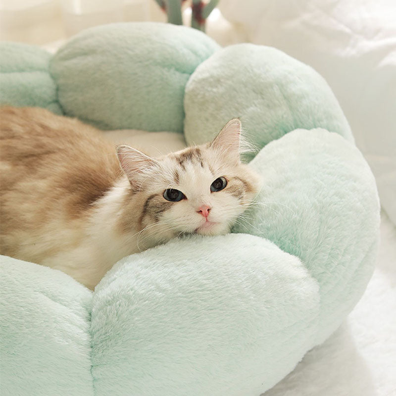 Flower Shape Cat Bed with Soft Rabbit Fleece and Non-Slip Bottom