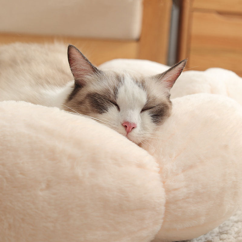 Flower Shape Cat Bed with Soft Rabbit Fleece and Non-Slip Bottom