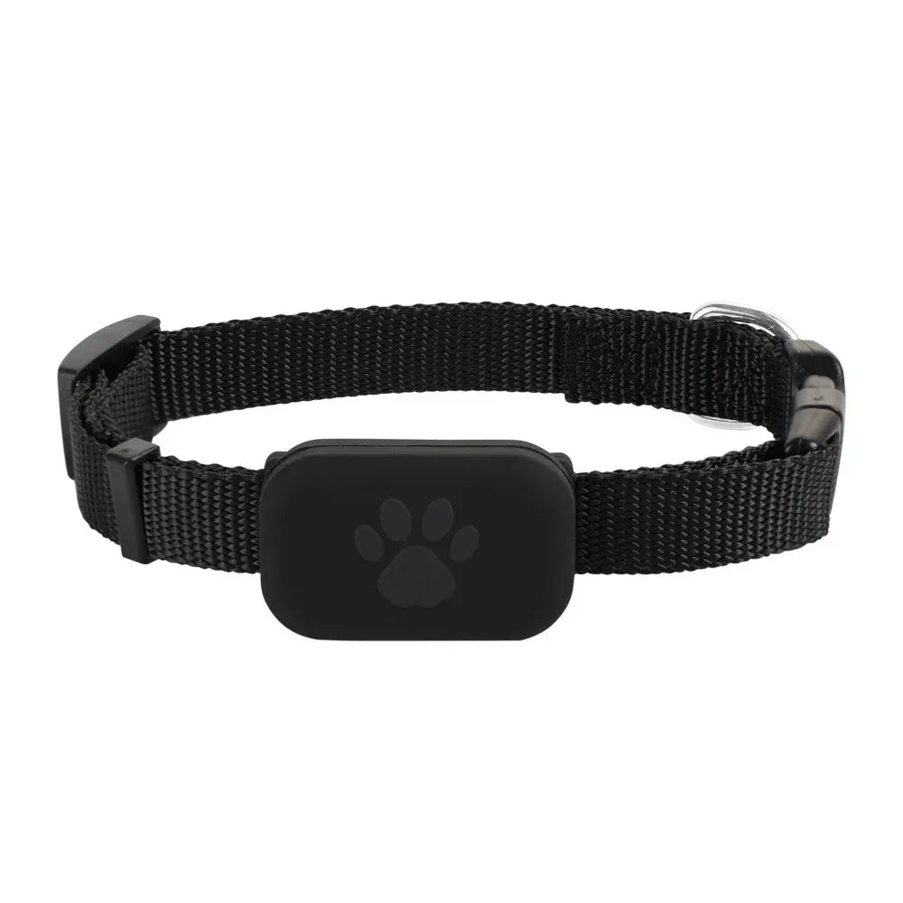 Anti-Tracking Collar for Small Pets with Apple's Find My Network