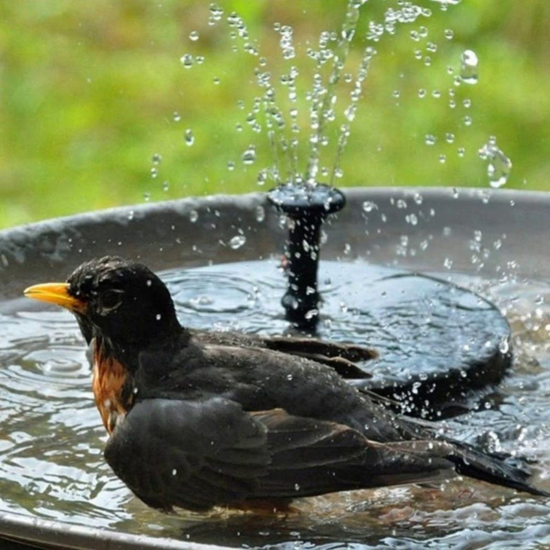 Solar-Powered Fountain Pump with Adjustable Spray Nozzles