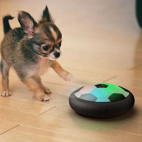 Interactive Electric Dog Play Ball with Random Movements