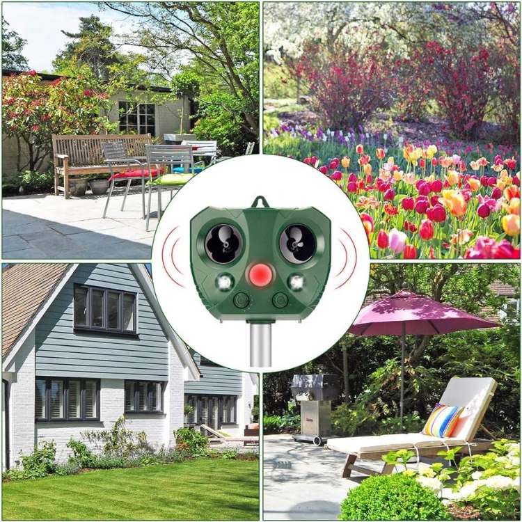 Humane Ultrasonic Animal Repellent with Solar Power