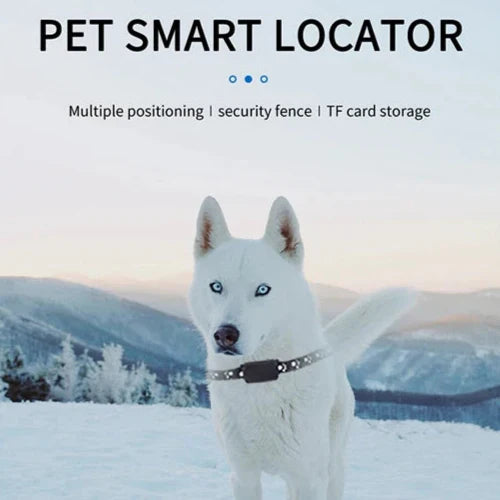 GPS Pet Tracker for Dogs and Cats with 12-Month Battery Life