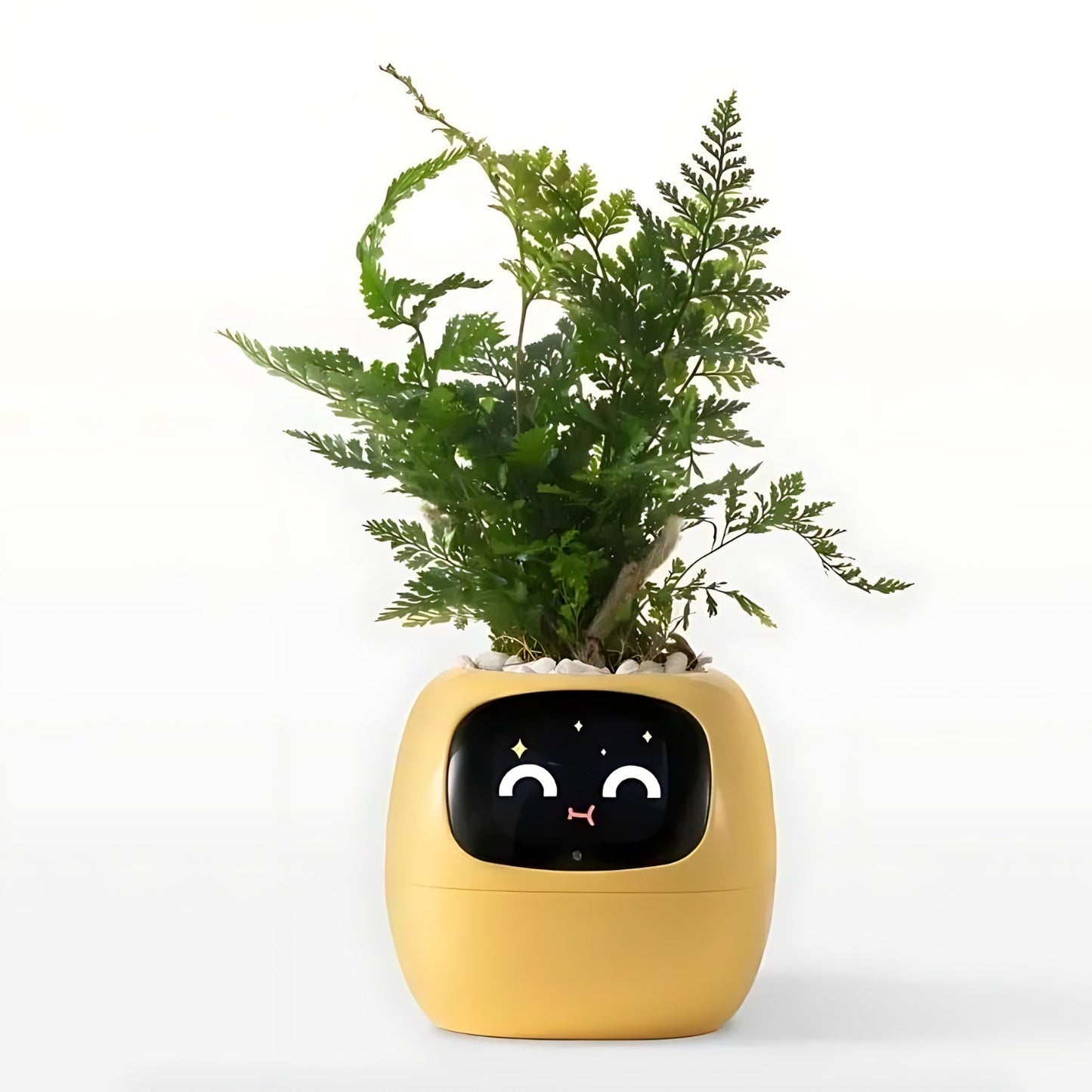 Smart Automatic Watering Flower Pot with App Notifications