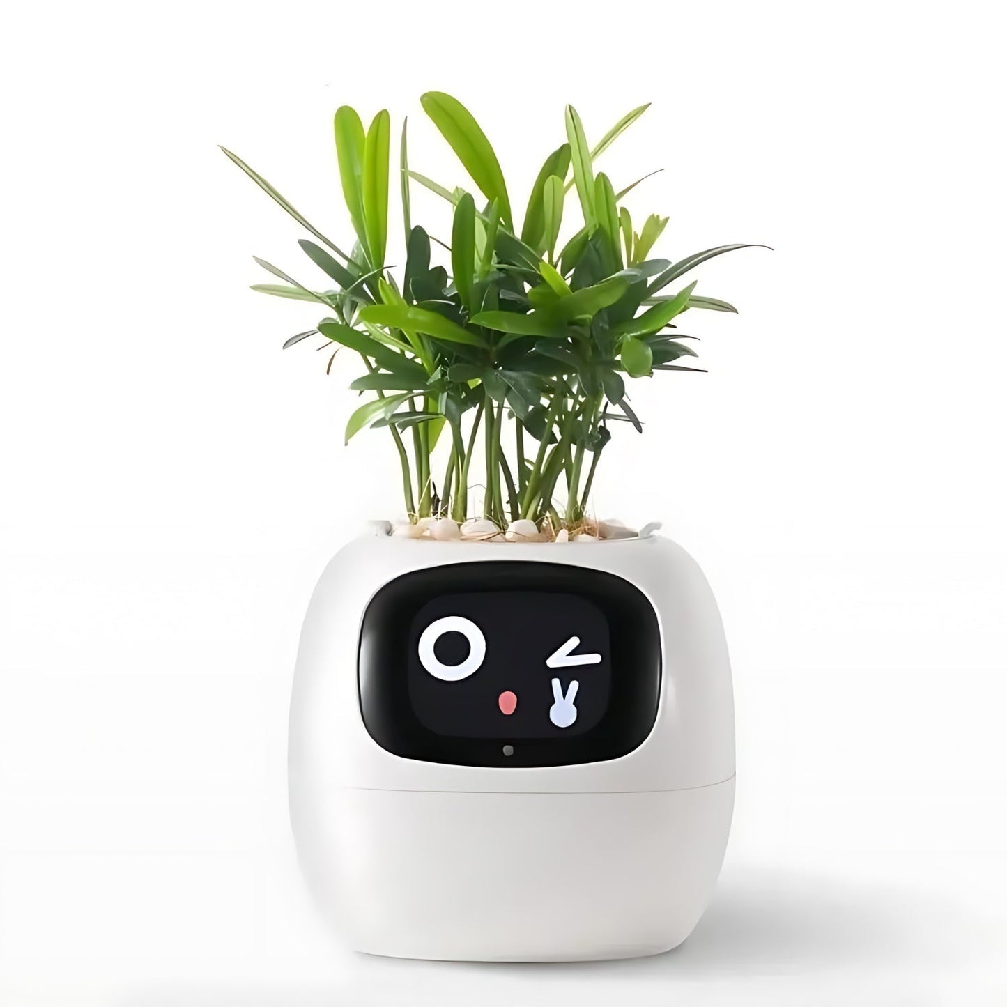 Smart Automatic Watering Flower Pot with App Notifications