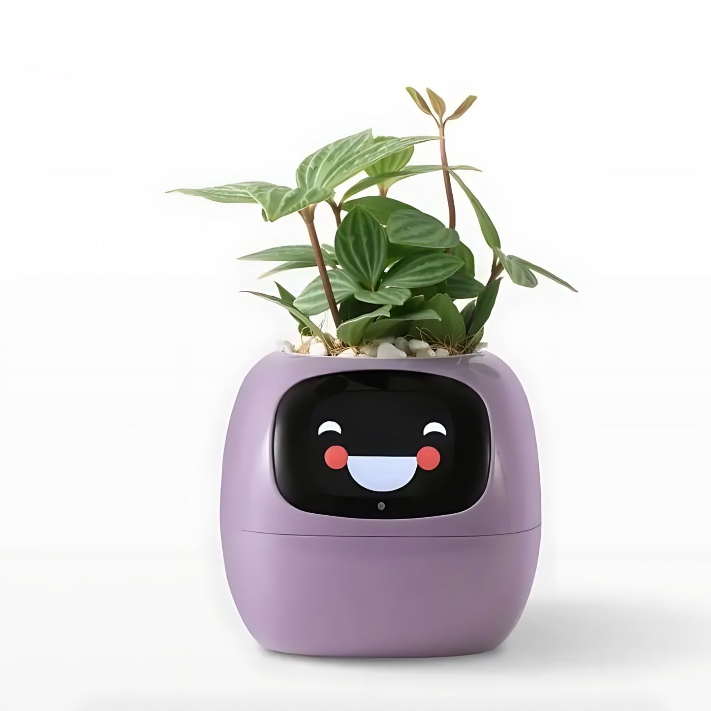 Smart Automatic Watering Flower Pot with App Notifications