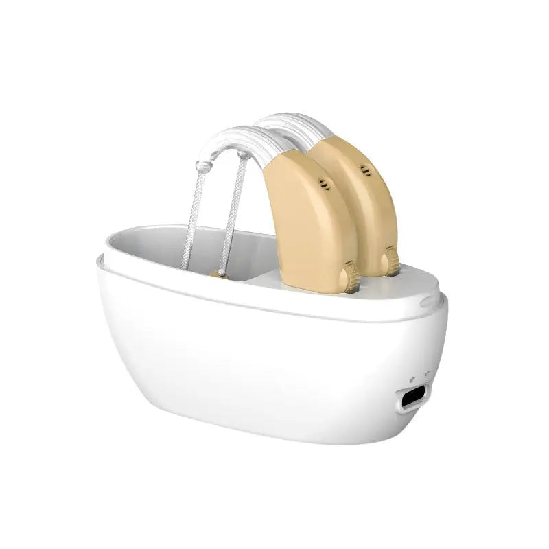 Compact Rechargeable Hearing Aid with Intelligent Noise Reduction