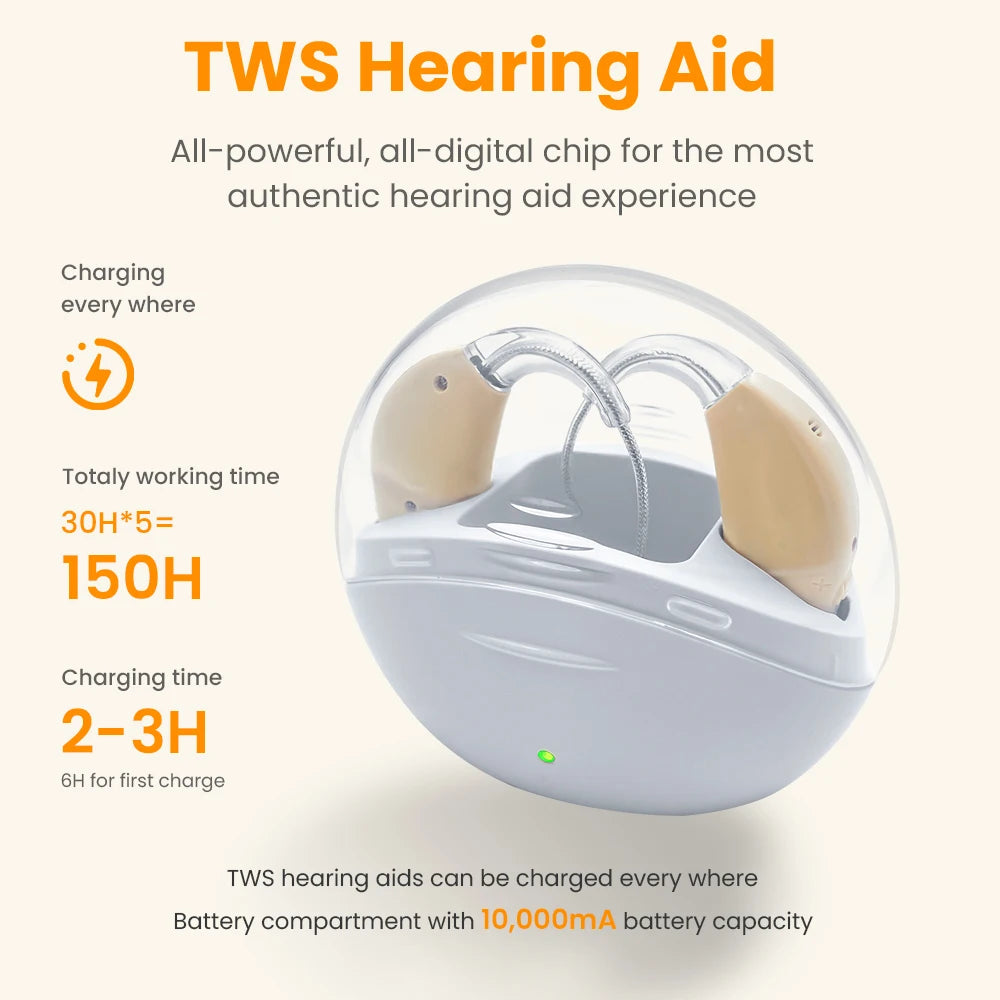 Compact Rechargeable Hearing Aid with Intelligent Noise Reduction
