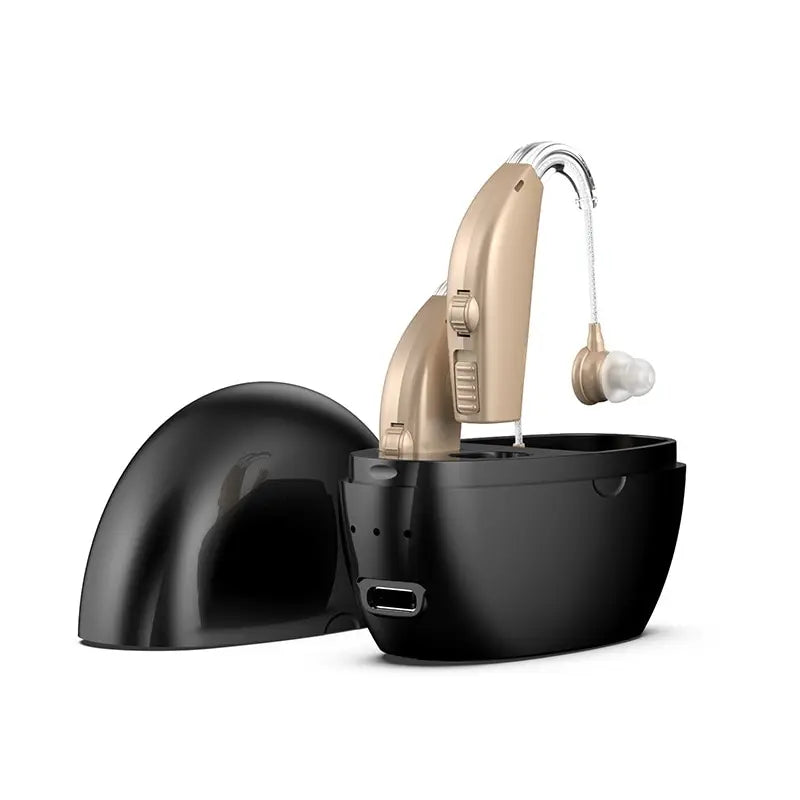 Compact Rechargeable Hearing Aid with Intelligent Noise Reduction