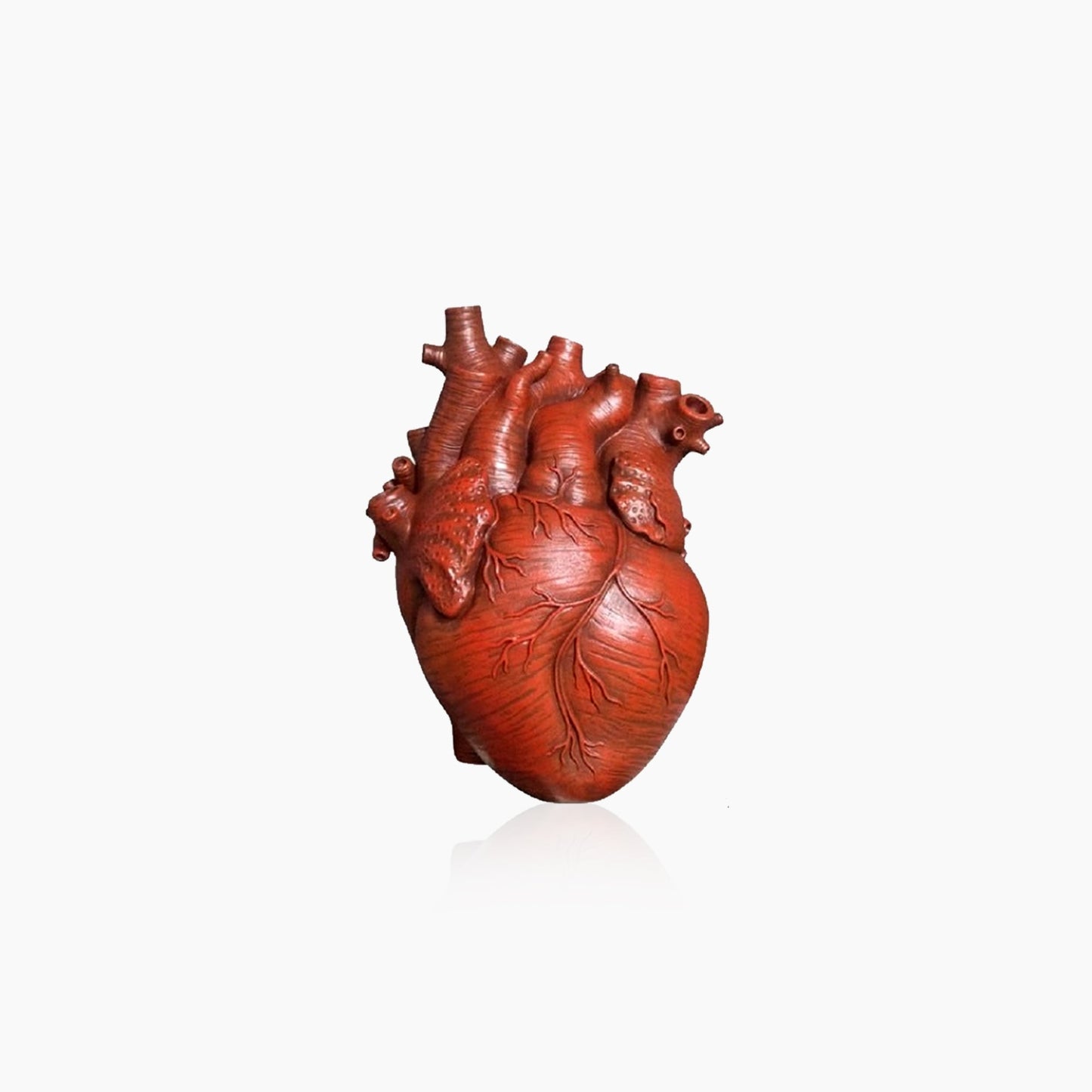 Heart-Shaped Ceramic Vase with Dried Flora