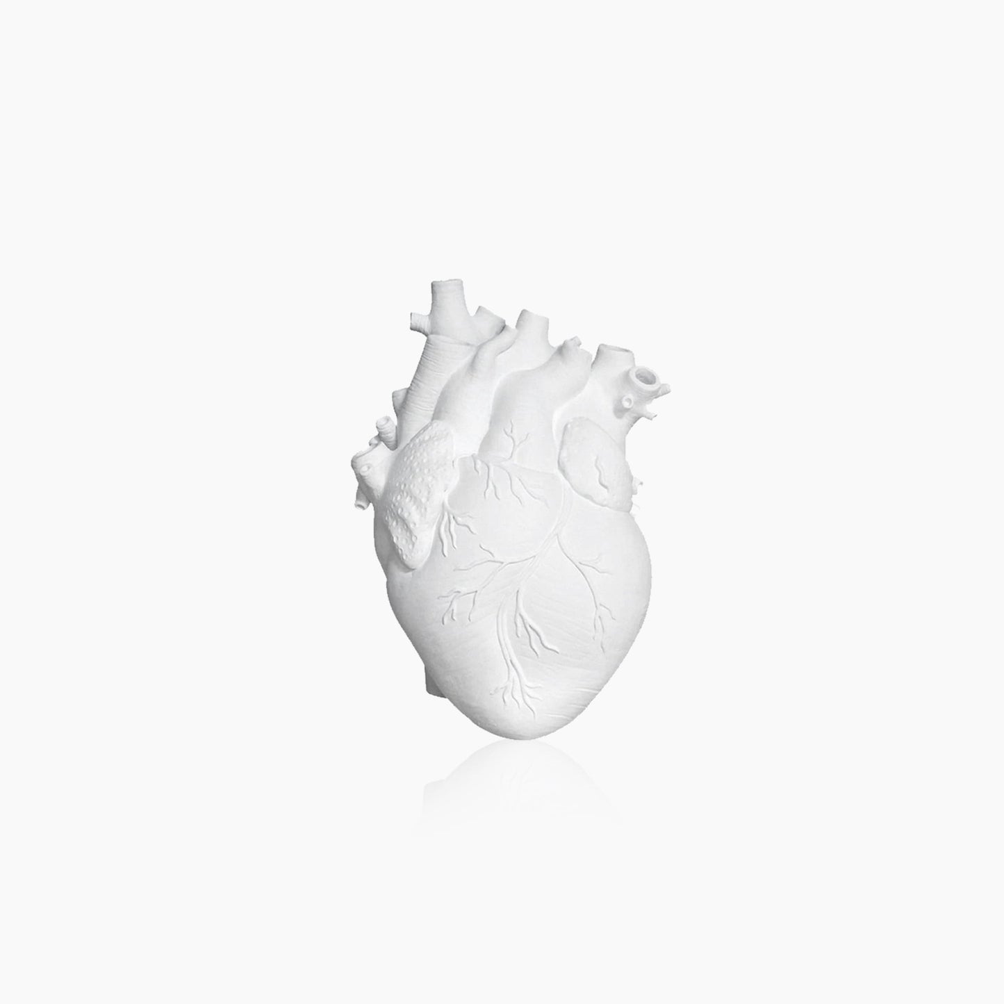 Heart-Shaped Ceramic Vase with Dried Flora