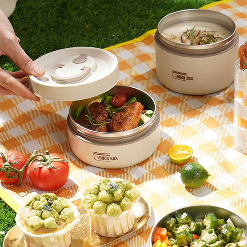 Multi-Layer Insulated Lunch Box with Free Carry Bag
