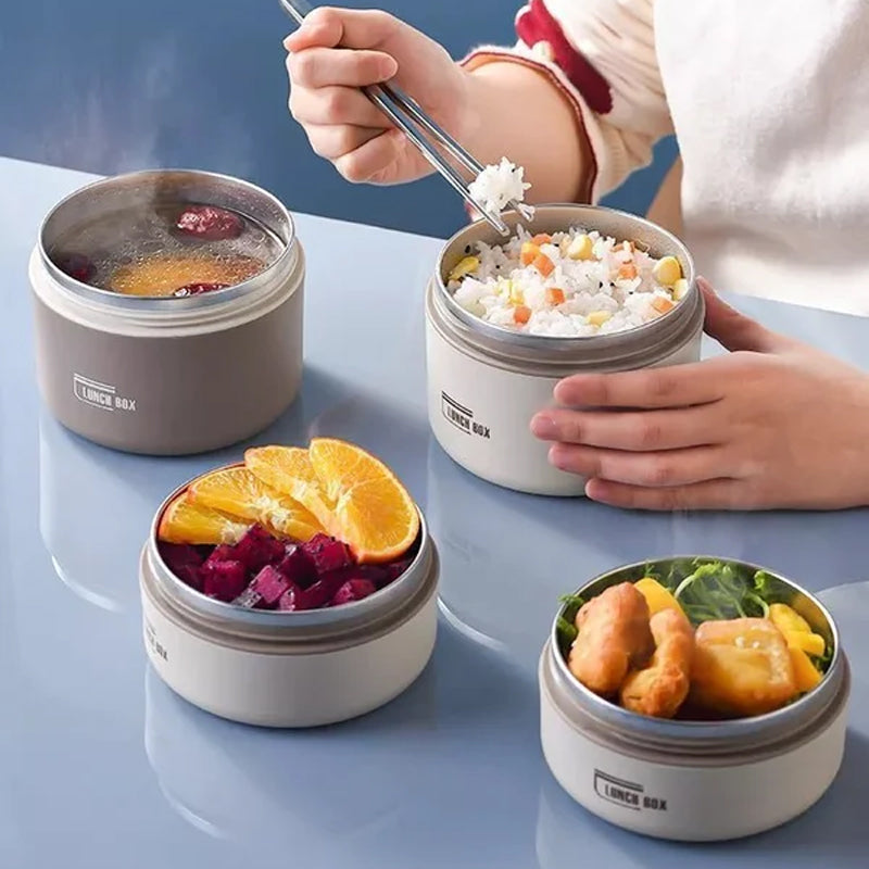 Multi-Layer Insulated Lunch Box with Free Carry Bag