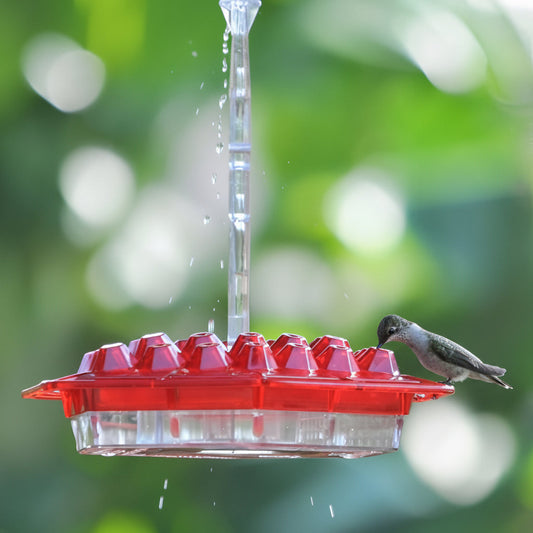 Hummingbird Feeder with 30 Flower-Shaped Feeding Ports