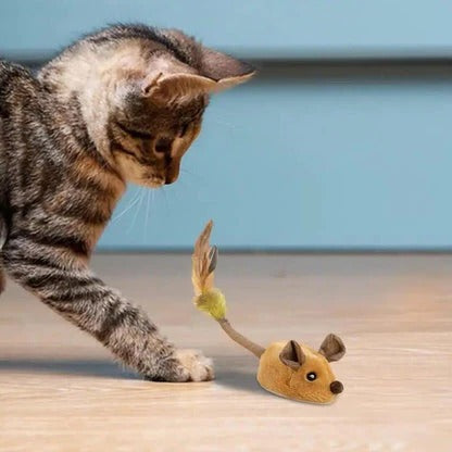 Motion-Activated Interactive Mouse Toy for Cats