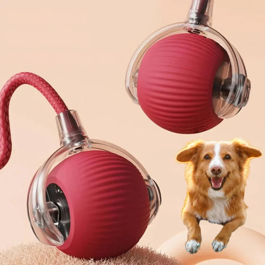 Interactive Rolling Ball Toy with Fluttering Tail for Dogs