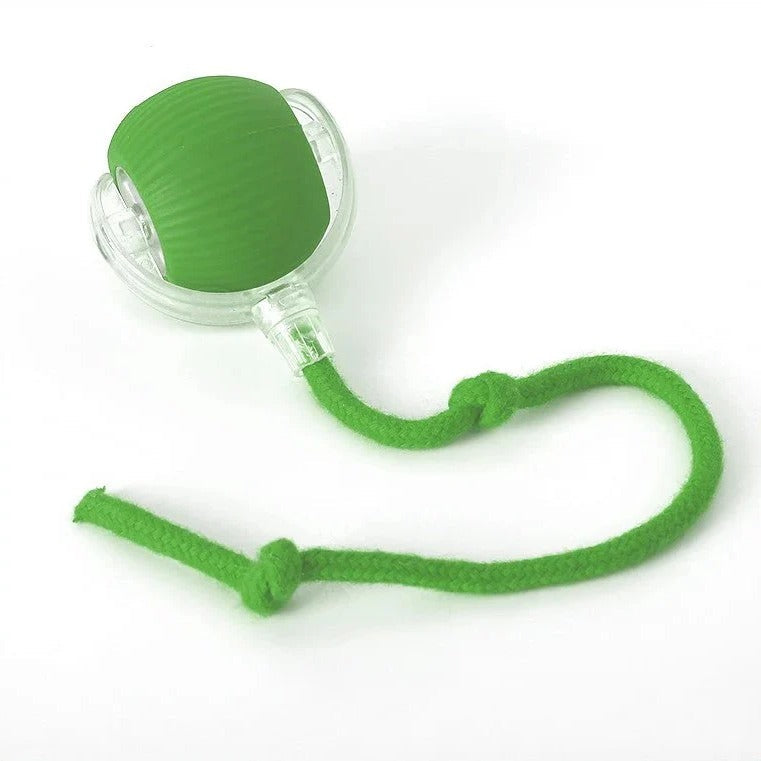Interactive Rolling Ball Toy with Fluttering Tail for Dogs
