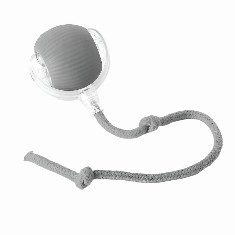Interactive Rolling Ball Toy with Fluttering Tail for Dogs