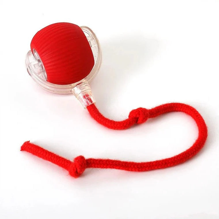 Interactive Rolling Ball Toy with Fluttering Tail for Dogs