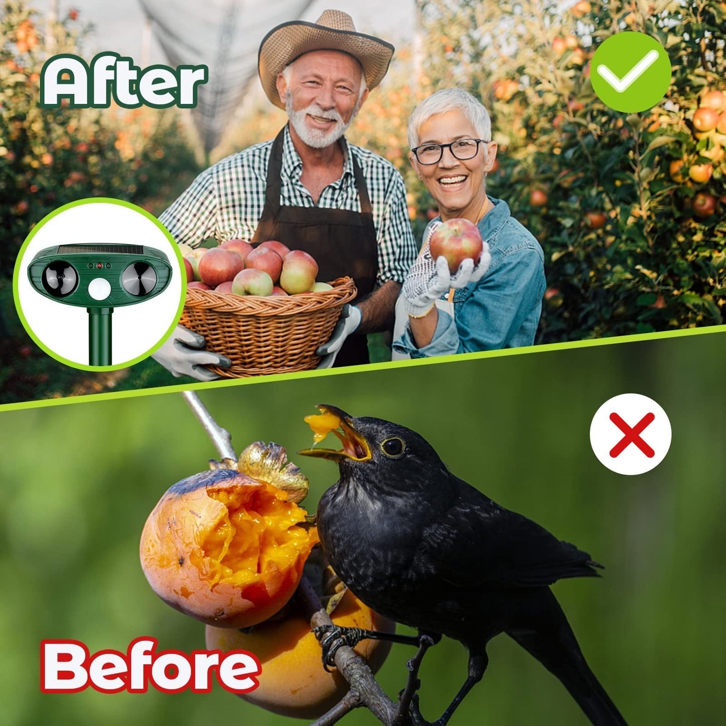 Ultrasonic Solar-Powered Woodpecker Repellent