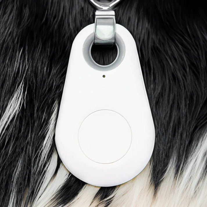 Waterproof Bluetooth GPS Pet Tracker for Dogs and Cats