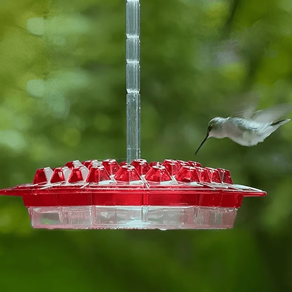 Hummingbird Feeder with Ant Moat and 30 Feeding Tubes