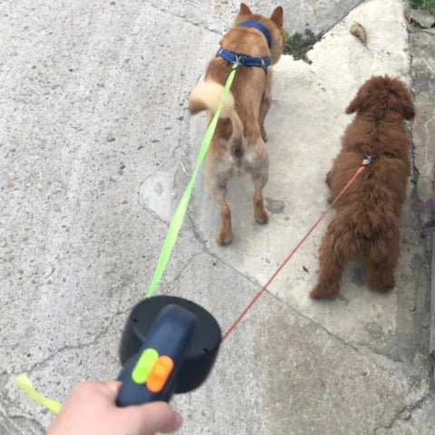 Tangle-Free Dual Dog Leash with LED Light and 360° Swivel