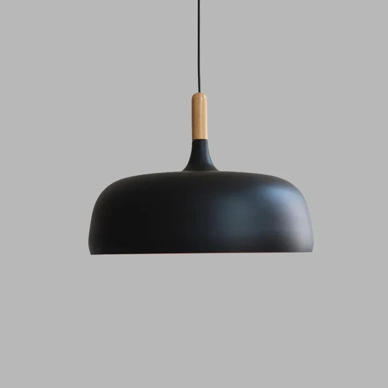 Modern Eco-Friendly Pendant Light