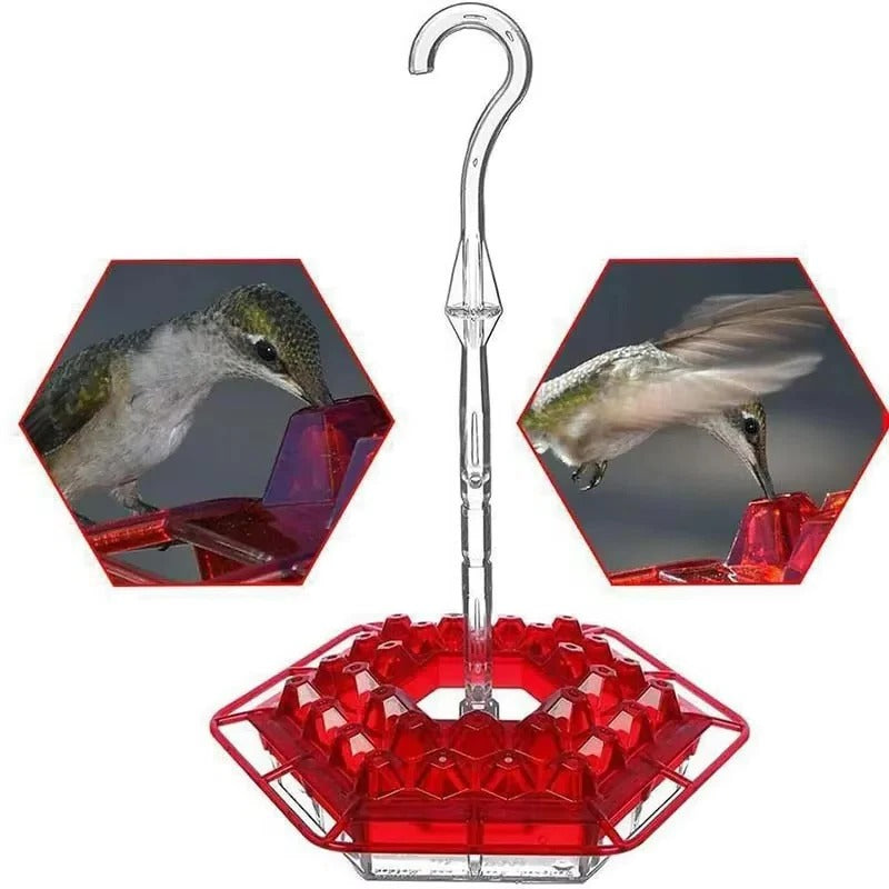 Ant Proof Hummingbird Feeder with Integrated Moat and 30 Feeding Ports