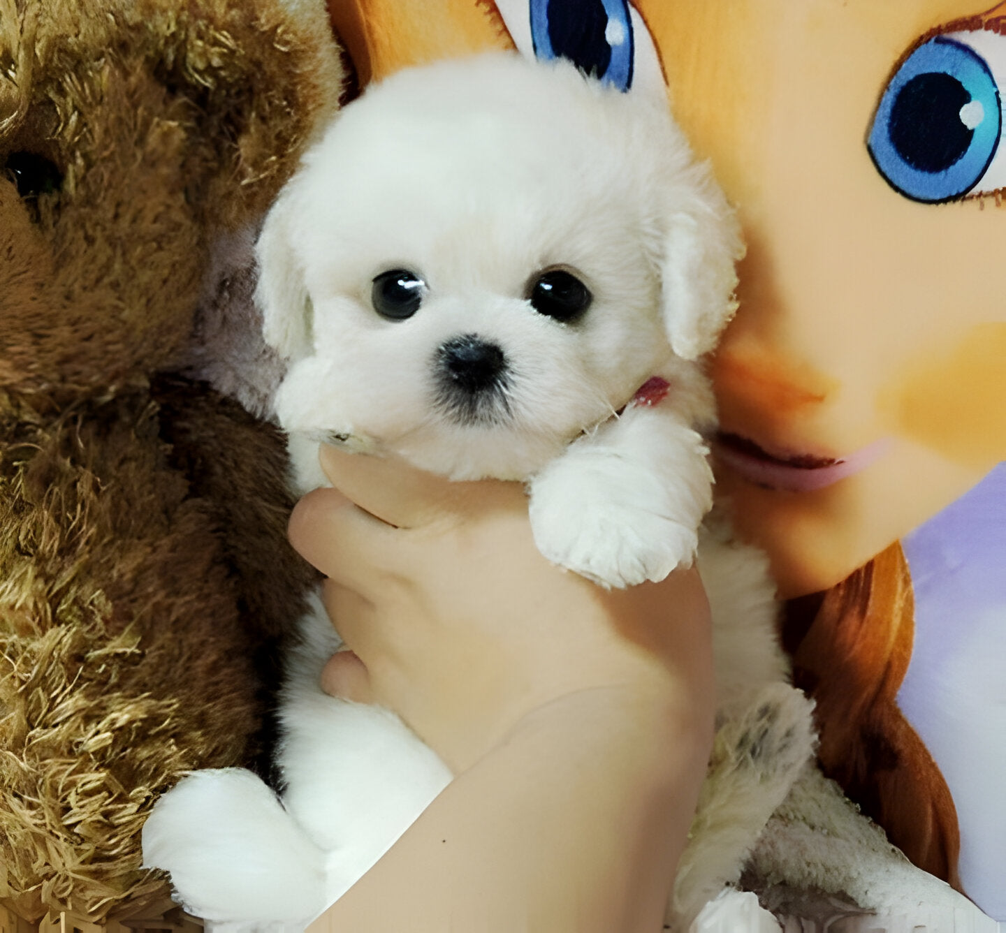 Realistic Plush Teddy Dog with Hand-Sculpted Details