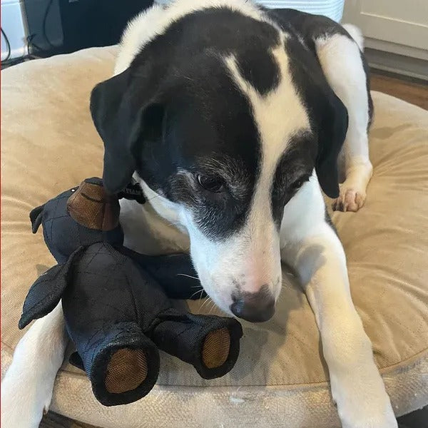 Indestructible Interactive Bear Dog Toy for Heavy Chewers
