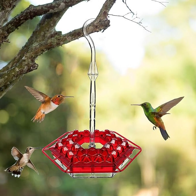 Ant Proof Hummingbird Feeder with Integrated Moat and 30 Feeding Ports