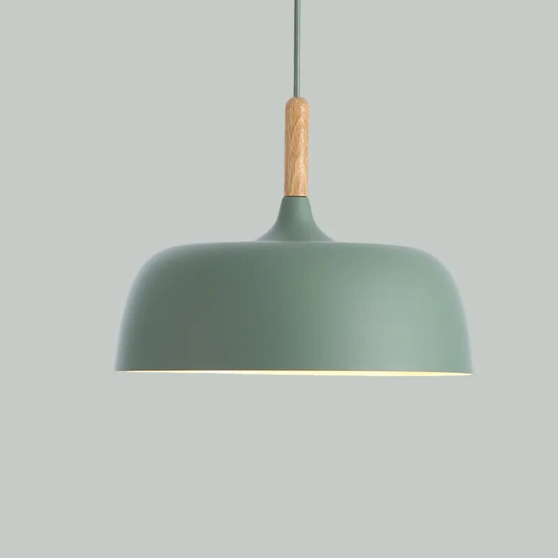 Modern Eco-Friendly Pendant Light