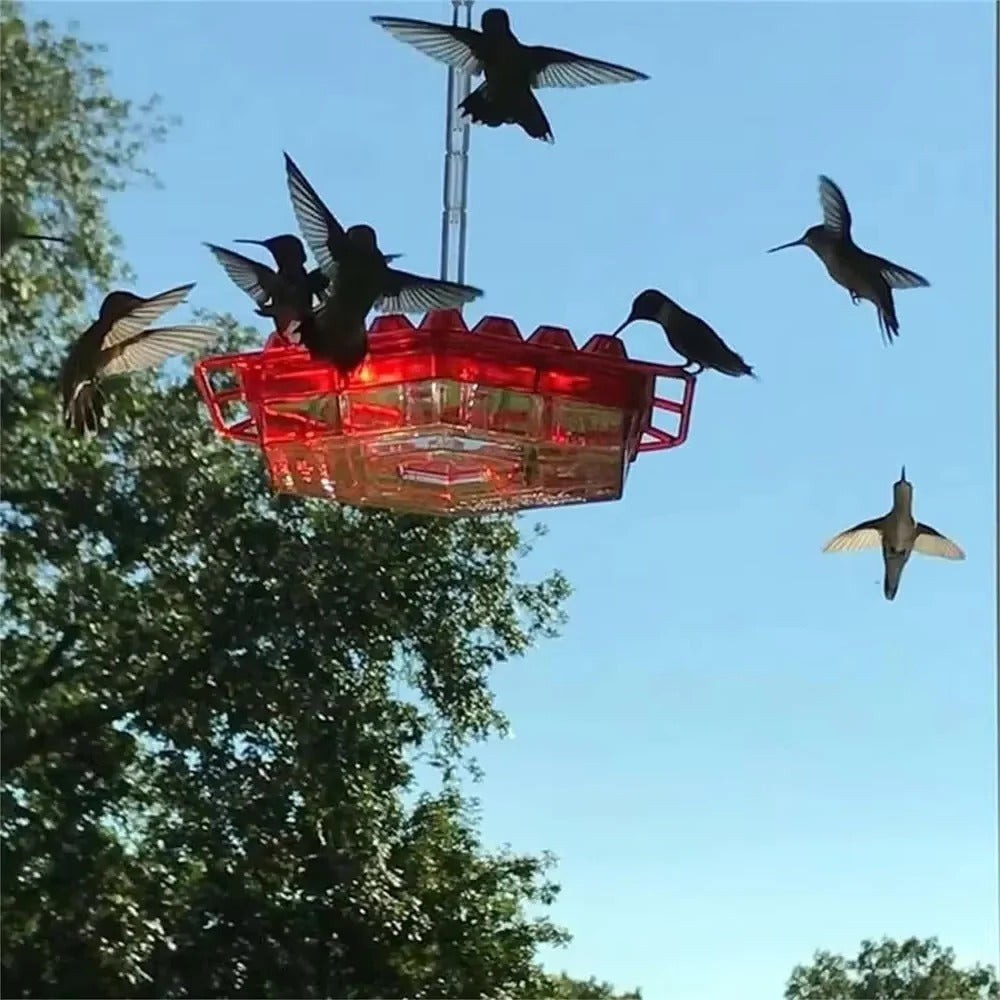 Ant Proof Hummingbird Feeder with Integrated Moat and 30 Feeding Ports