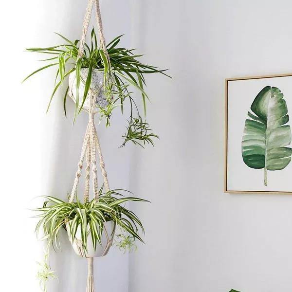 Handmade Boho Macrame Plant Hanger Set - 4 Piece Cotton Rope Decor