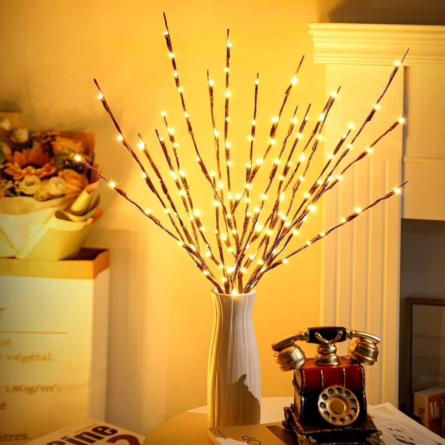 USB Powered Prelit Twig Lights with 60 Warm White LEDs