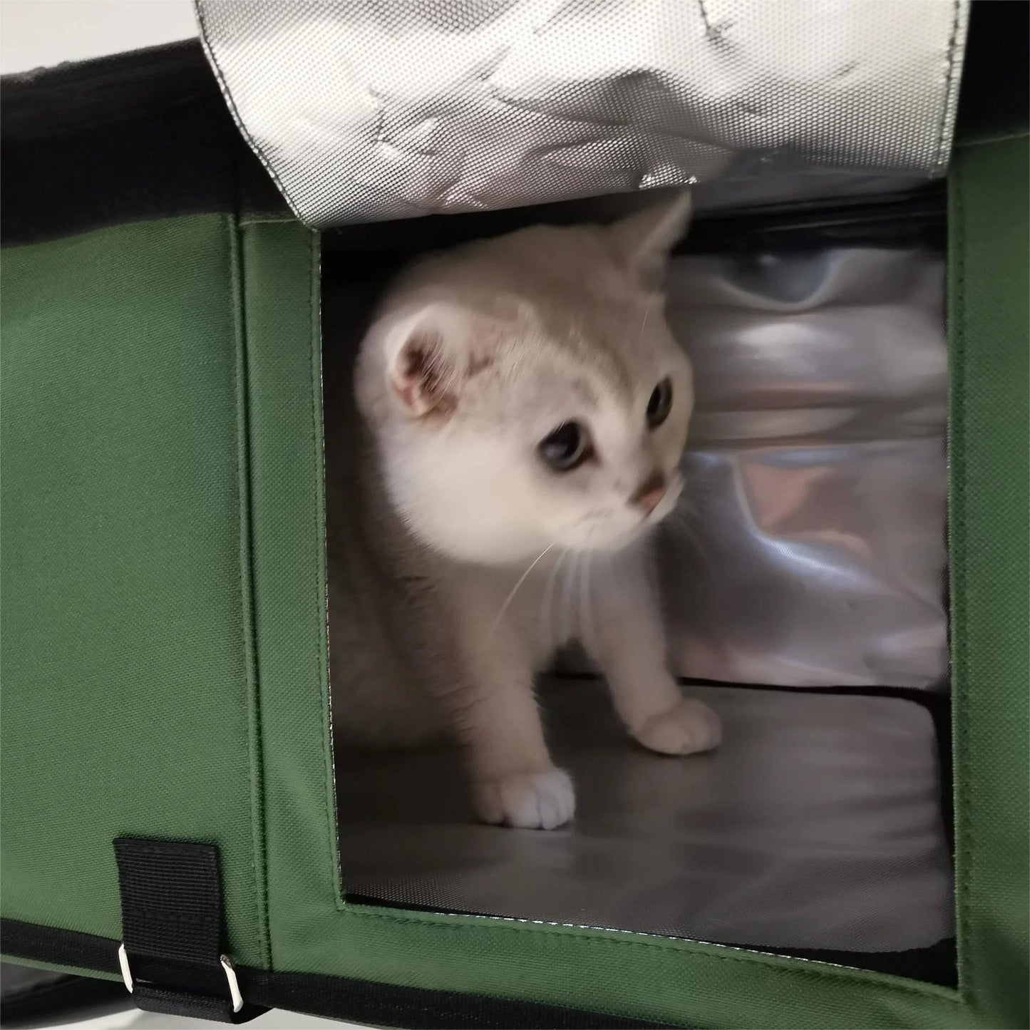 Heated Outdoor Cat House with Insulation and Escape Door