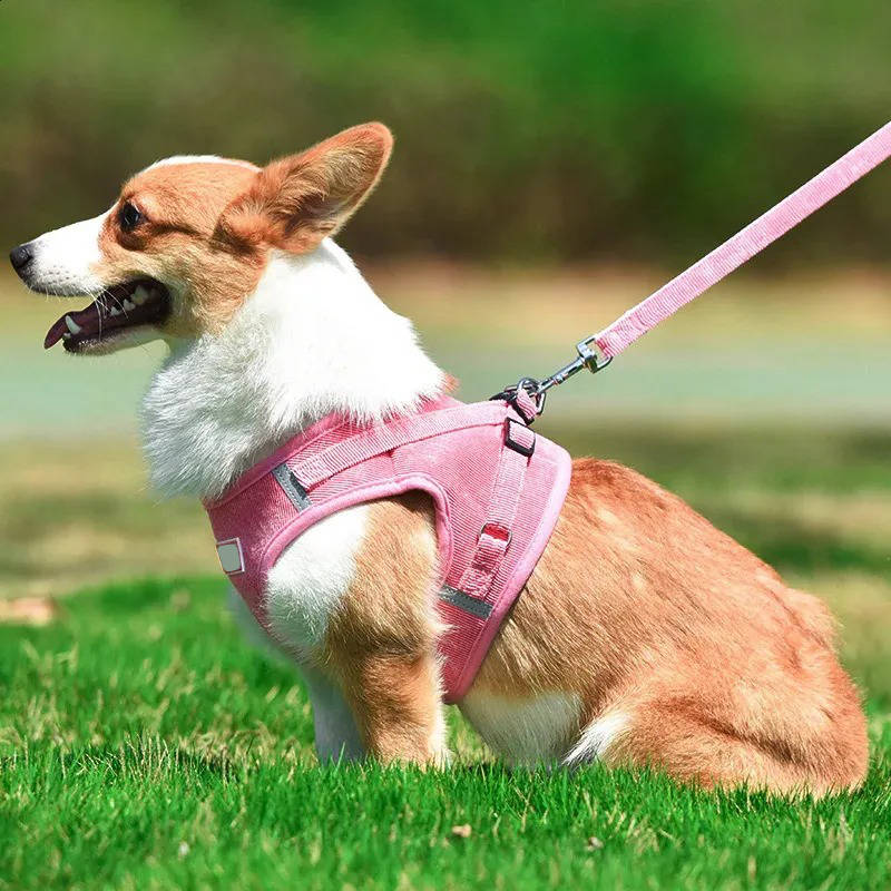Reflective Corduroy Dog Harness and Leash Set for Small to Medium Pets