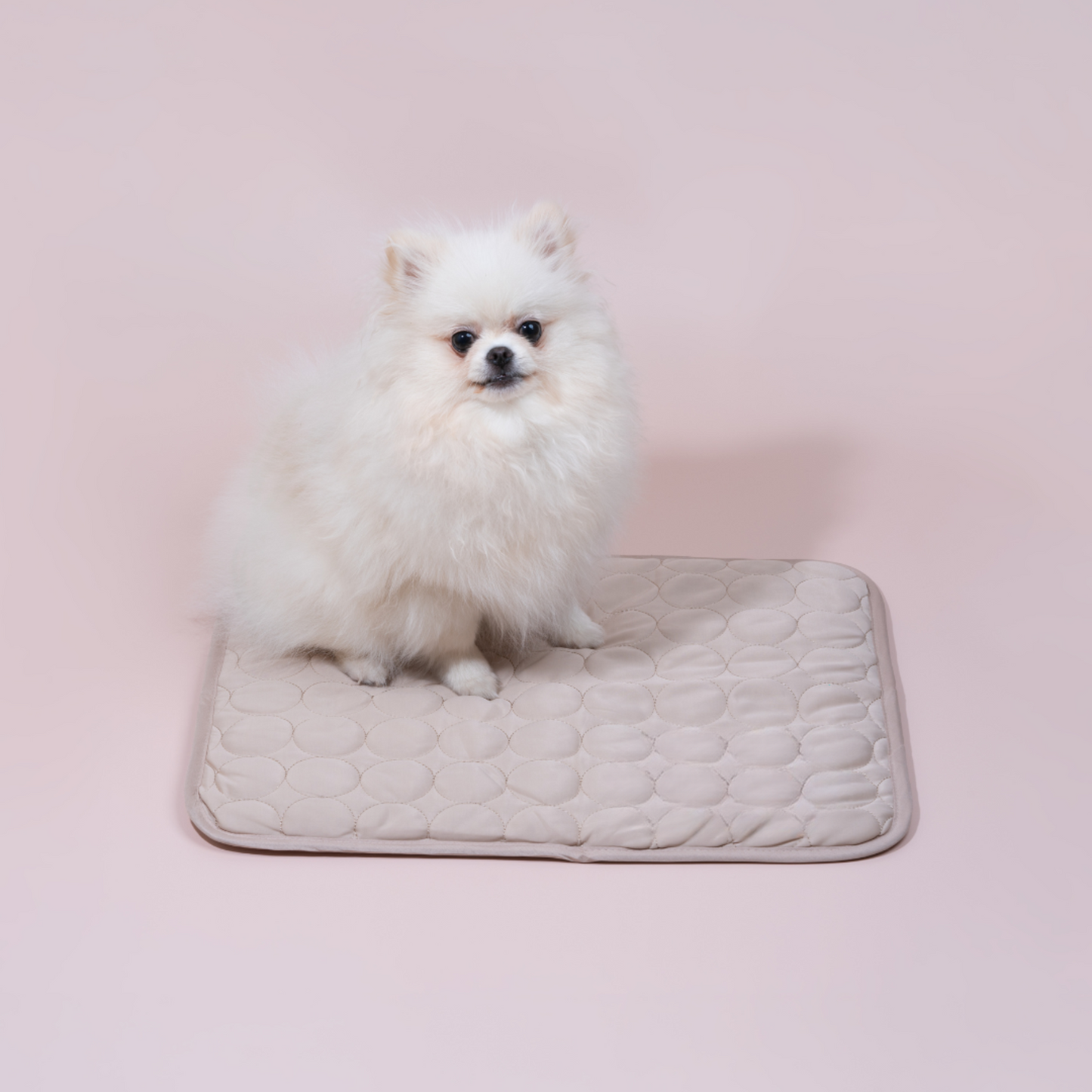 Cooling Mat for Dogs with 4x Cooling Power