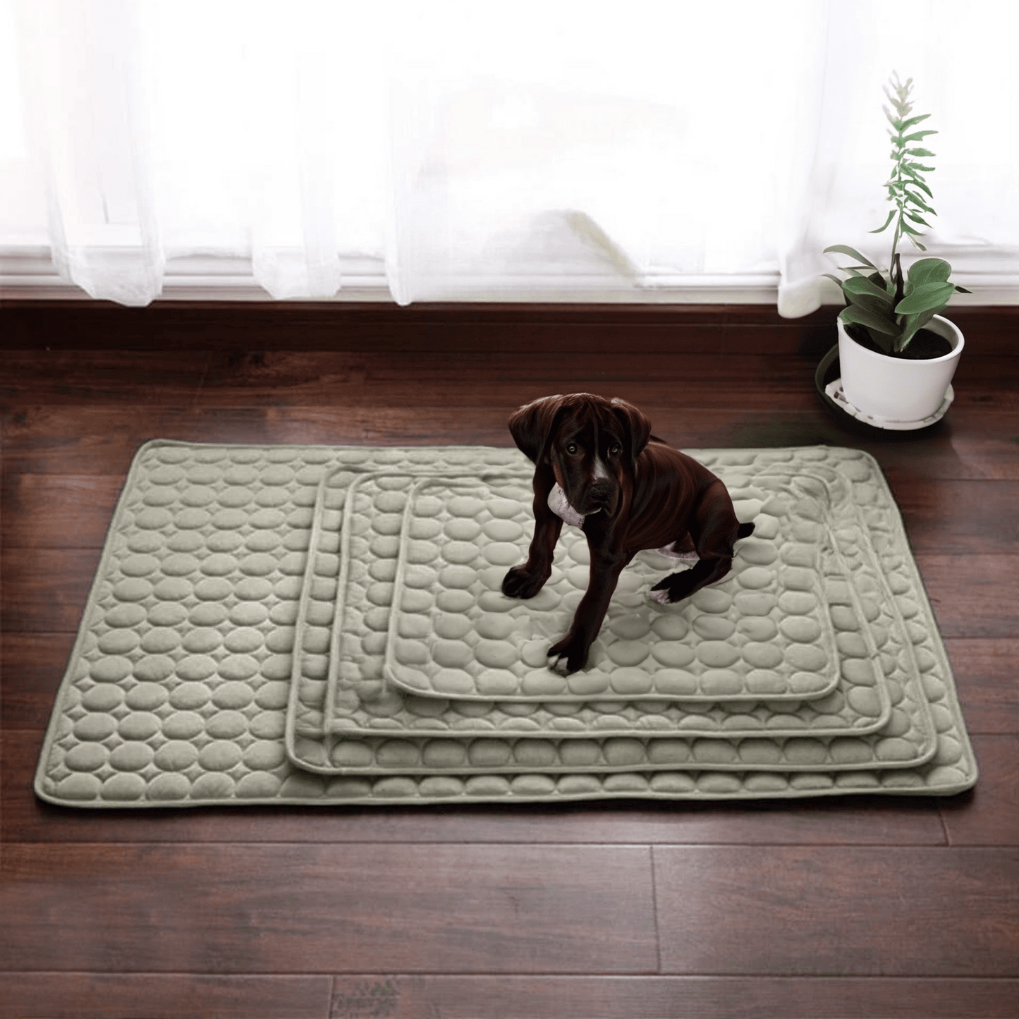 Cooling Mat for Dogs with 4x Cooling Power