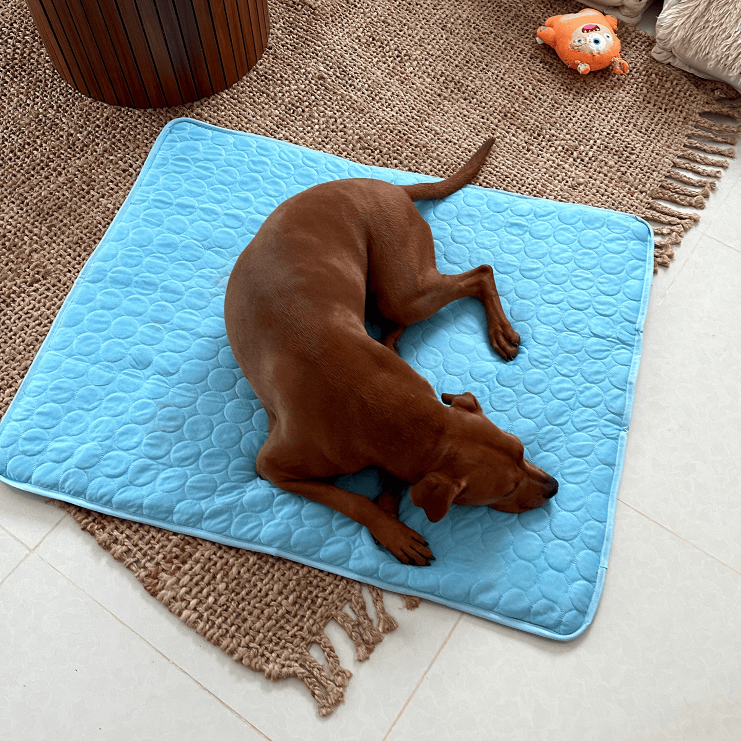 Cooling Mat for Dogs with 4x Cooling Power
