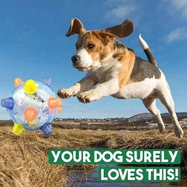 LED Jumping Activation Ball Dog Toy