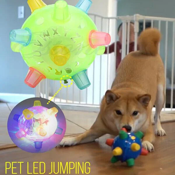 LED Jumping Activation Ball Dog Toy