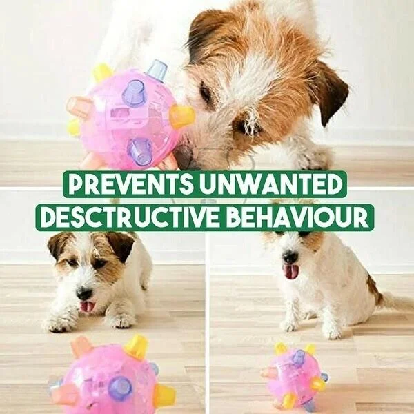 LED Jumping Activation Ball Dog Toy