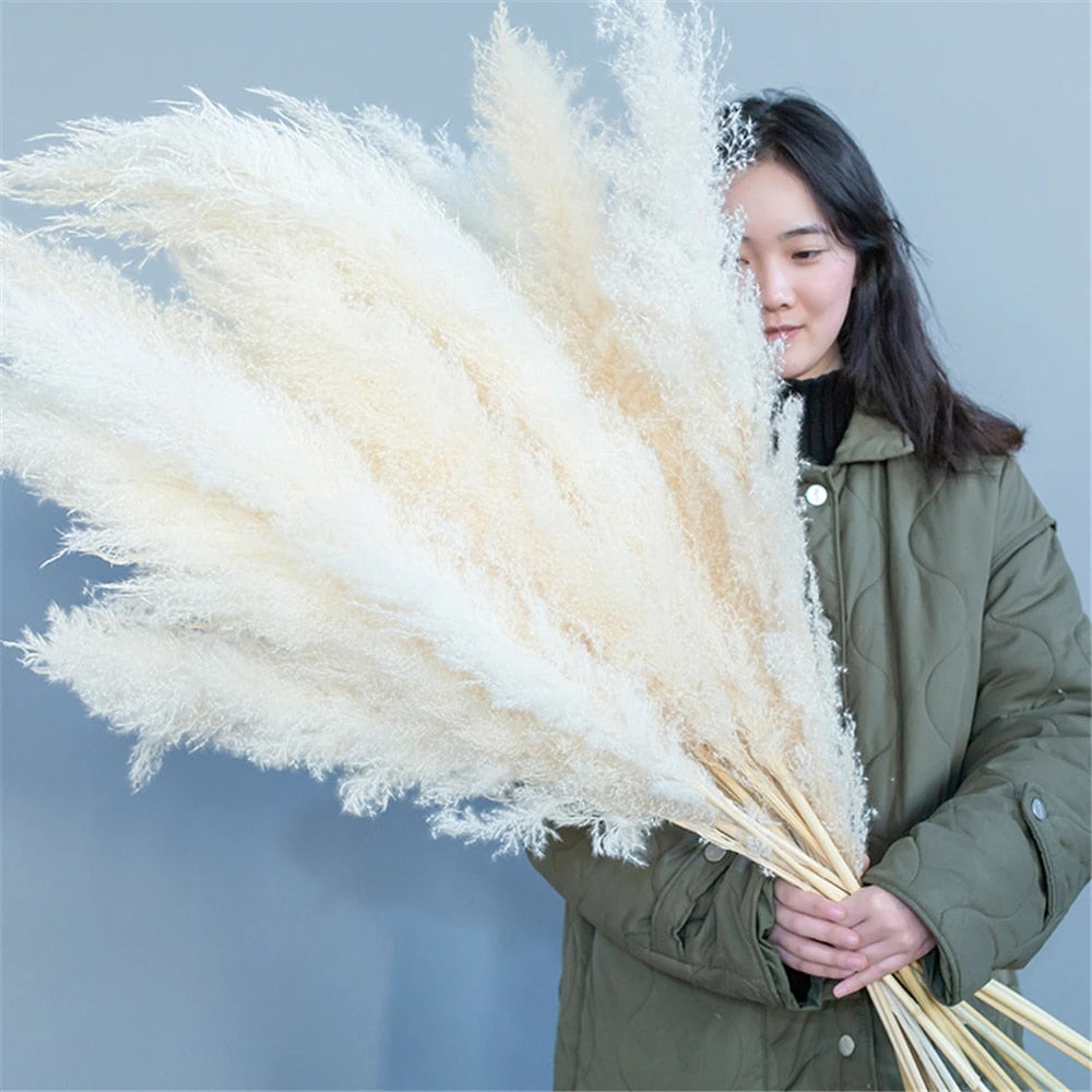 Dried Pampas Grass Flowers - Natural Boho Decor