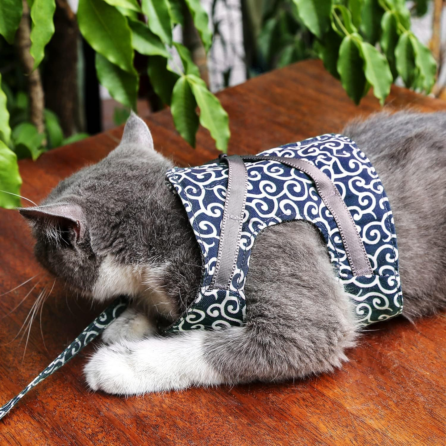 Escape-Proof Cat Harness and Leash Set