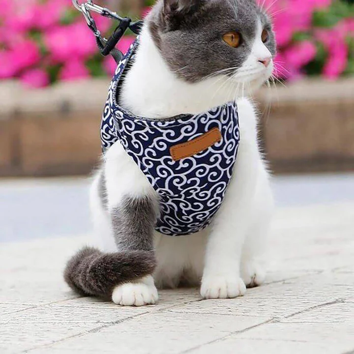 Escape-Proof Cat Harness and Leash Set